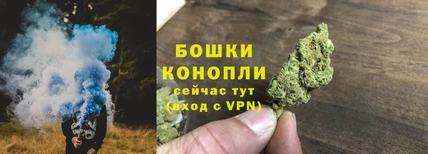 шишки Аркадак