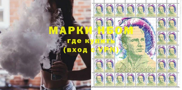 шишки Аркадак