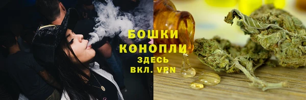 шишки Аркадак