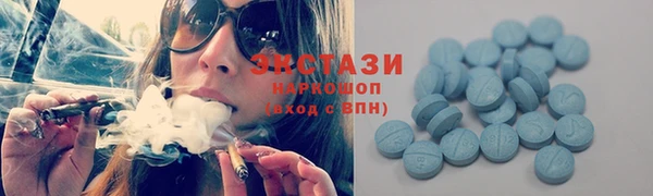шишки Аркадак