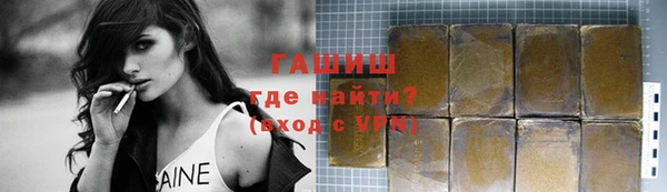 шишки Аркадак