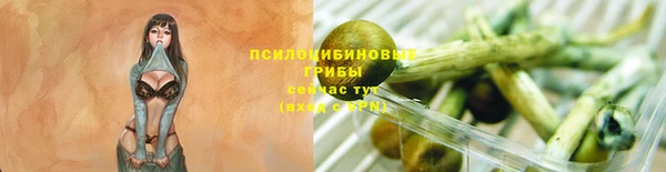 тгк Арсеньев