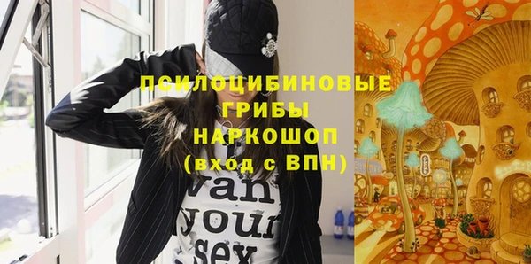 шишки Аркадак