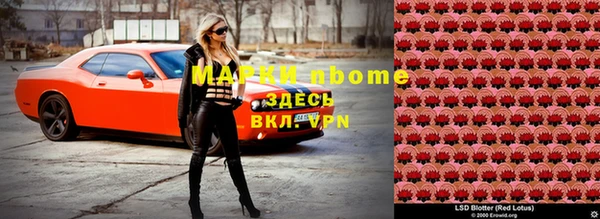 шишки Аркадак
