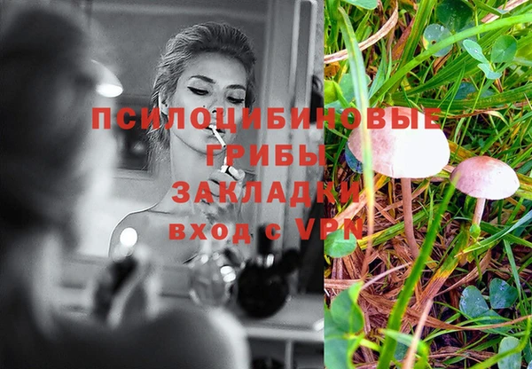 дурь Армянск