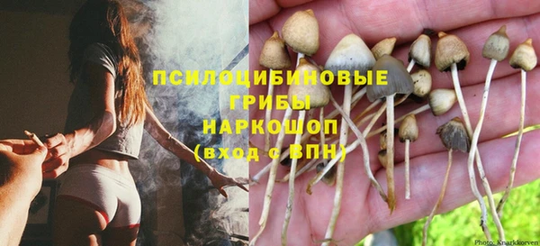 соль курить ск Медвежьегорск