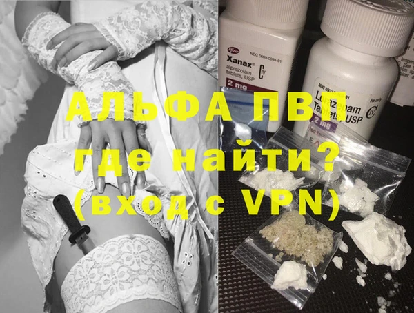 шишки Аркадак