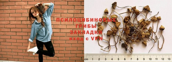 тгк Арсеньев