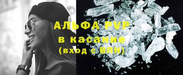 гашик Алексин