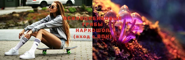 тгк Арсеньев