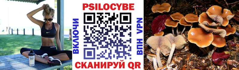 Галлюциногенные грибы ЛСД  Большой Камень 